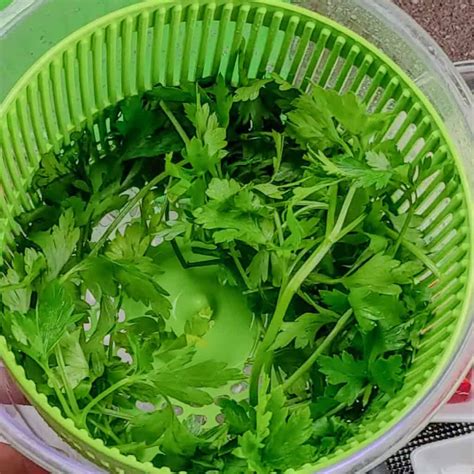 How to Wash Fresh Herbs the Right Way Before Use - Just Maika Cooking