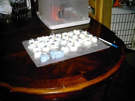 How to visually capture vibrant, authentic food adventure dishes?