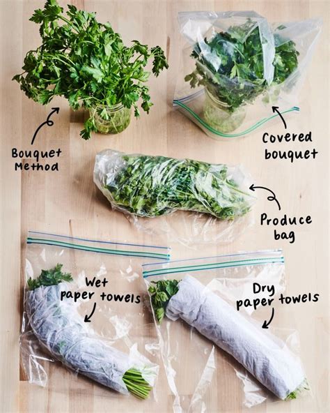 We Tried 5 Methods for Storing Fresh Herbs and Found a Clear Winner in ...