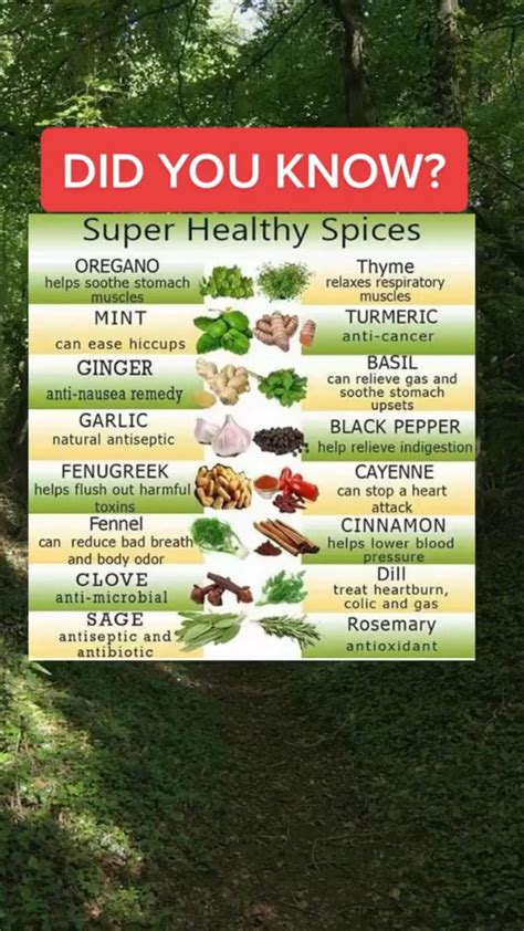 Did you know super healthy spices – Artofit