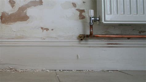 How To Treat Damp In Wall at Jeffrey Mesa blog