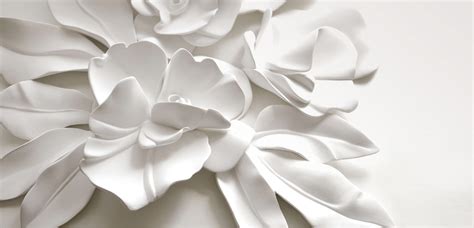 White Out: Everything You Need to Know About the Color White