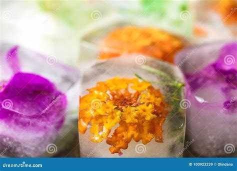 Handmade Ice Cubes with Frozen Herbs Plants Flowers Facial Skin Care ...