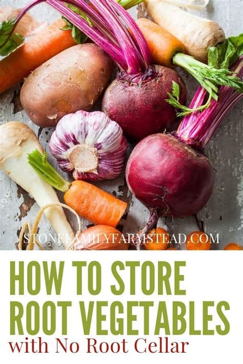 Storing root vegetables – Artofit