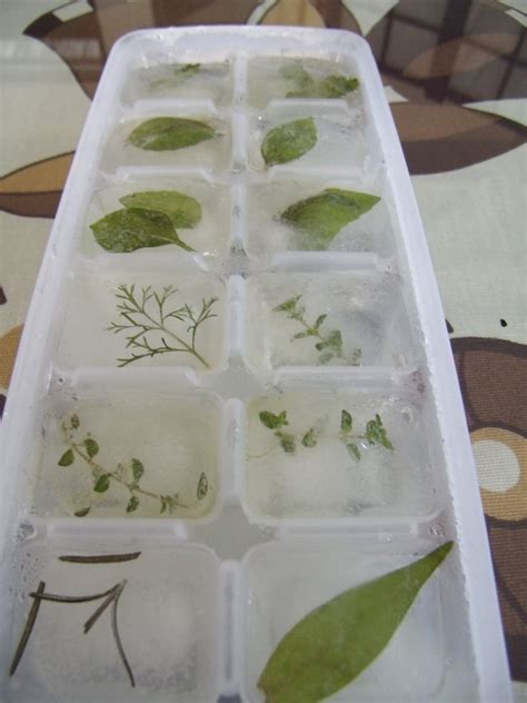 Water + Herbs = – Familia Kiki