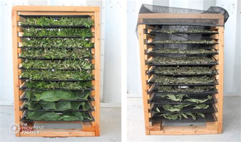 Tips for Air Drying and Storing Culinary and Medicinal Herbs - The ...