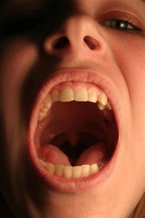 The Mouth, In Detail, Close In by Della-Stock on DeviantArt