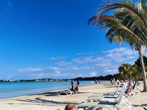 Best way to prevent avocado browning for beautiful toasts?