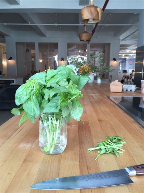 How to Bring Back Wilted Herbs | POPSUGAR Food