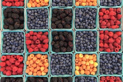 Food of the Month: Berries - IslandHealth.org
