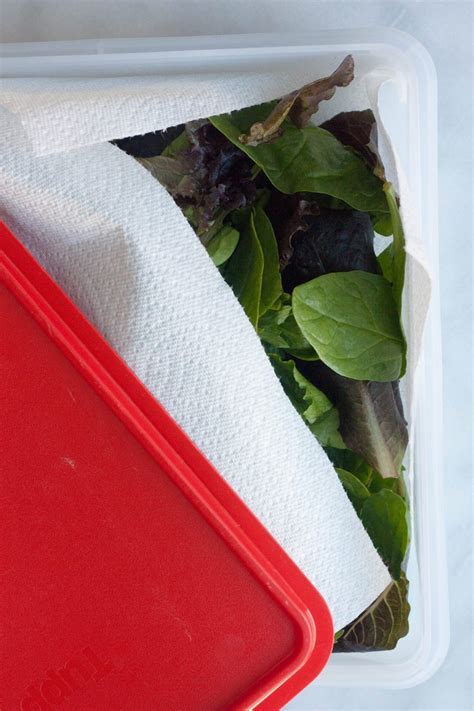 Best Tips to Keeps Salads and Greens FRESH!