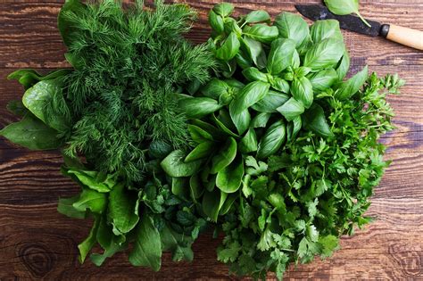 When to plant herbs: for a plentiful, fresh supply | Homes and Gardens