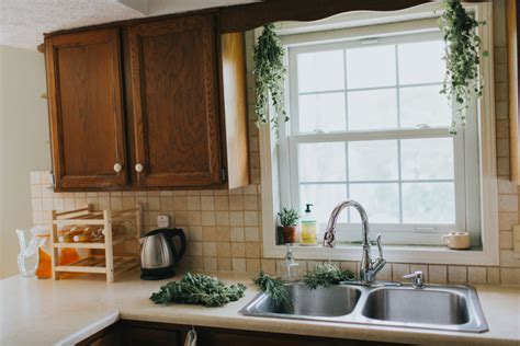 Drying Fresh Herbs – Life Well Wondered