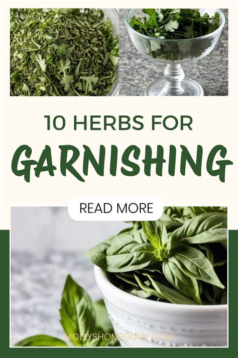 10 Herbs For Garnishing | Cooking with fresh herbs, Herb recipes, Herbs