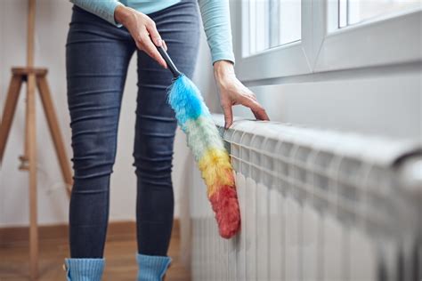 Is Your Duster Spreading Dirt and Dander? Here's How to Clean It.