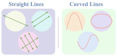 Examples Of Lines And Names