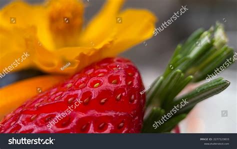 Visual Appeal Of Food: Over 121 Royalty-Free Licensable Stock Photos ...