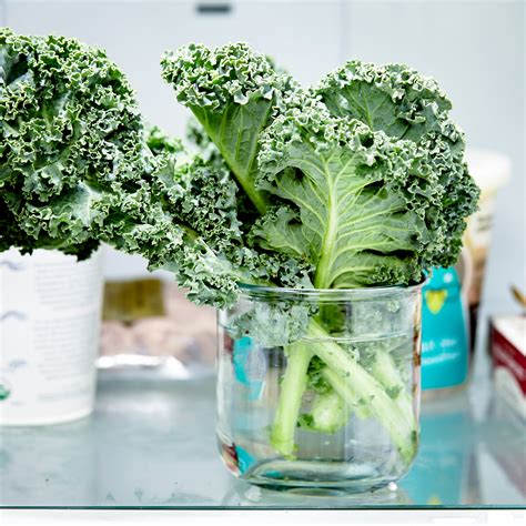 So Fresh and So Green, Green: How to Store Leafy Greens So Fresh & So ...