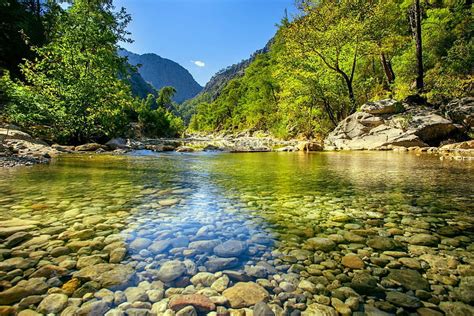 Clear waters, river, crystal, nice, shore, reflection, trees, greenery ...