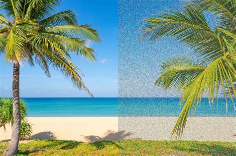 What visual cues help you find genuine local eats for your foodie feed?