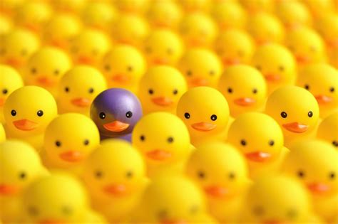 Different đi với giới từ gì? Different from, to hay with