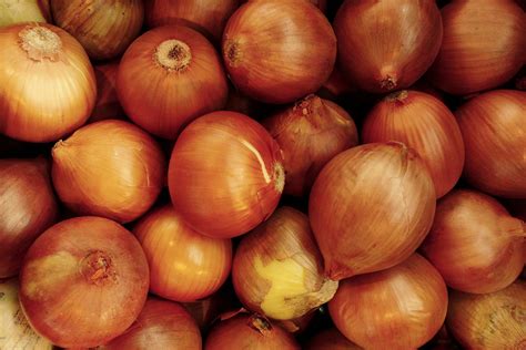 Onions Royalty-Free Stock Photo