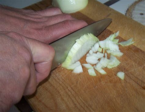 Onion Dicing Definition at Hector Dwight blog