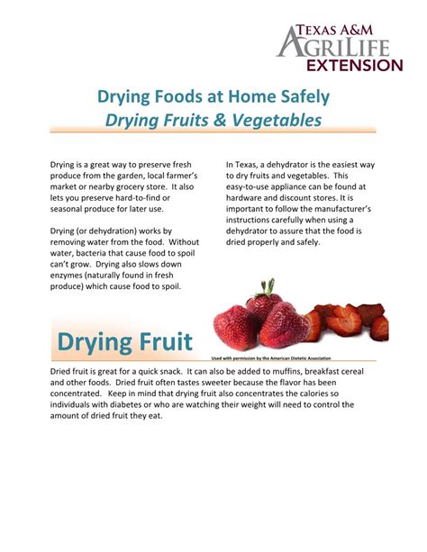 Drying Foods at Home Safely: Drying Fruits and Vegetables ...