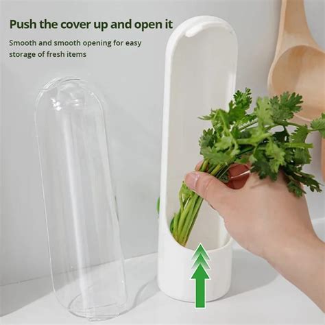 Herb fridge storage container – iDecorator