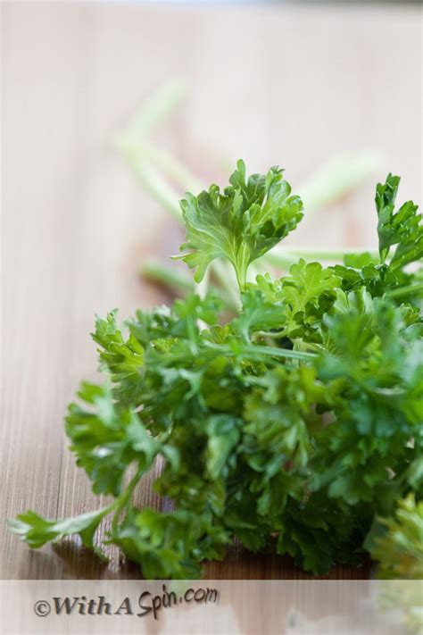 Reviving Wilted Herbs: A Kitchen Essential