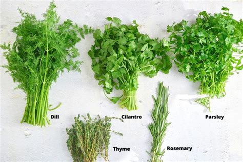 How to Store Fresh Herbs - My Forking Life