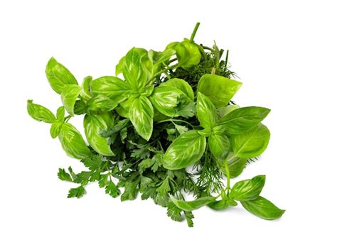 Premium Photo | Fresh spices and herbs