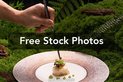 Beautiful Food Plating Photos, Download The BEST Free Beautiful Food ...