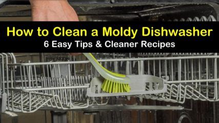 6 Easy Ways to Clean a Moldy Dishwasher