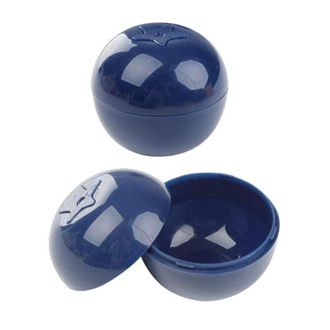 Large Storage &amp; Portable Portable Freshness : Blueberry Storage ...