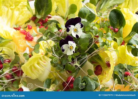 Fresh Microgreens and Edible Flowers in a Vegetable Salad Stock Image ...