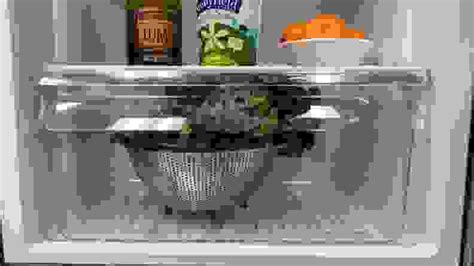 Here's how to use your refrigerator crisper drawers—the right way ...