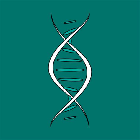 Best “Visual Bites” angles for food photography to drive recipe clicks?