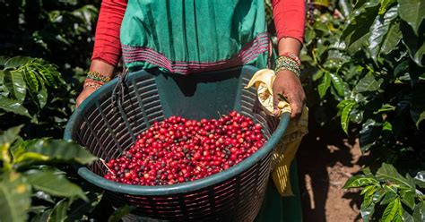 What visual cues reveal truly authentic local eats abroad?