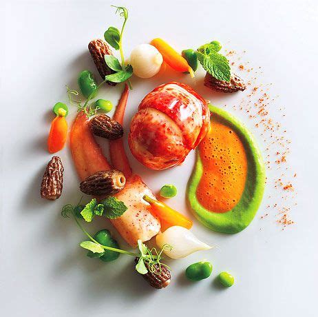 22 Plating - Sauce Techniques ideas | food plating, gourmet recipes ...