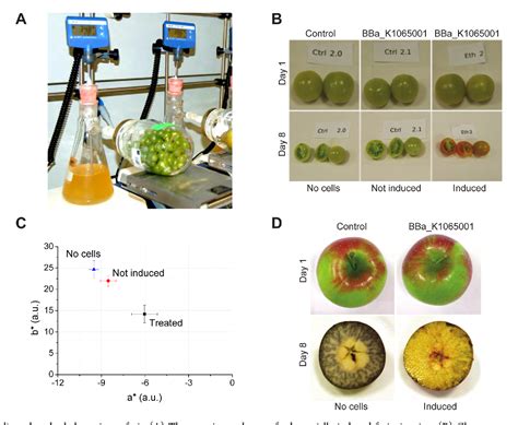 Figure 1 from Ethylene-producing bacteria that ripen fruit. | Semantic ...