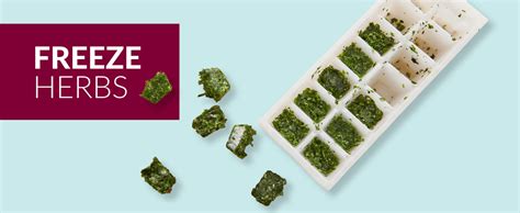 Storing fresh herbs - Canada's Food Guide