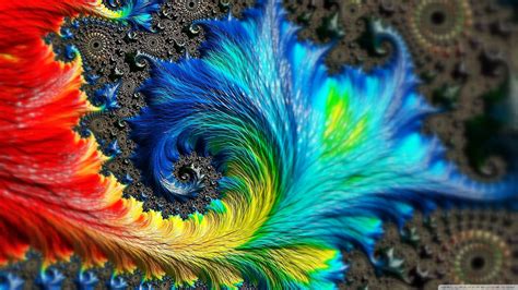 Download Colorful Feather Fractal Wallpaper | Wallpapers.com