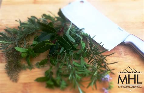 Cooking with Herbs - My Homestead Life
