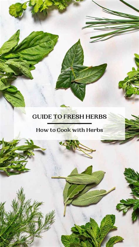 These 12 Fresh Herbs will Transform Your Simple Meals - The ...