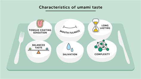 What is Umami? | Everything about umami | Umami | The Ajinomoto Group ...