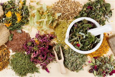 6 Ways to Incorporate Medicinal Herbs Into Your Daily Routine
