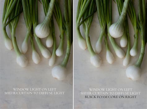 Natural Light Food Photography Tips | Regan Baroni