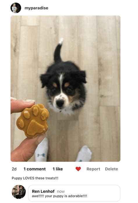 Healthy Homemade Peanut Butter Coconut Oil Dog Treats - House Fur