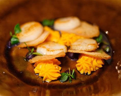 Elaborated Dish on Plate · Free Stock Photo